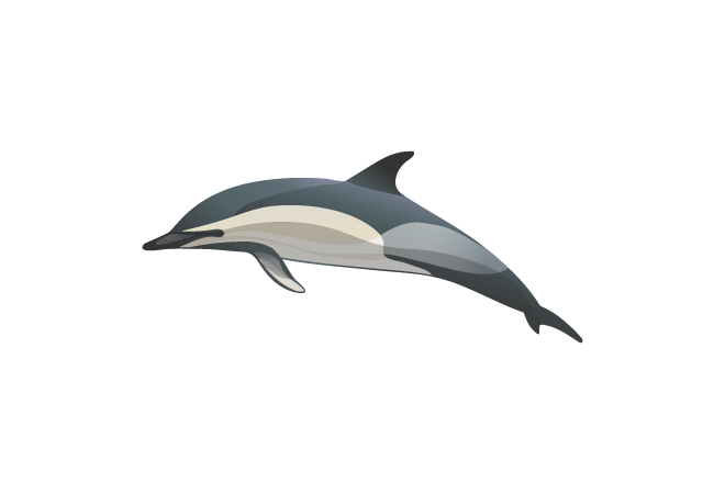 03060c16-95cb-46a8-86f7-41f67487286c.png