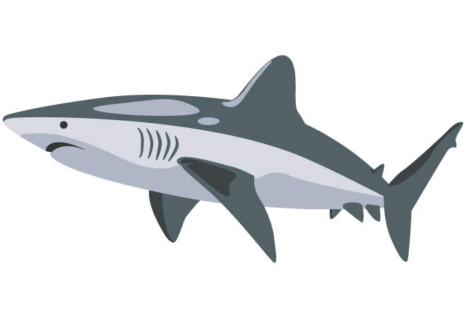 1399e961-75c1-4d5e-a157-133e4df79352.png