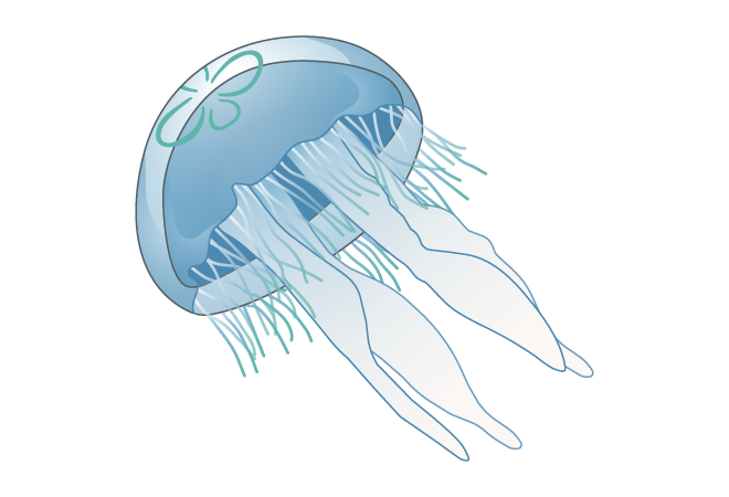 87513ef0-19ba-43da-93ff-8cd3f8ceba68.png