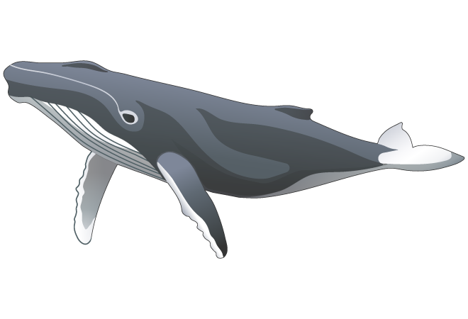 9ccdcb36-b052-4dc3-978c-d6bcc5ac6ab5.png
